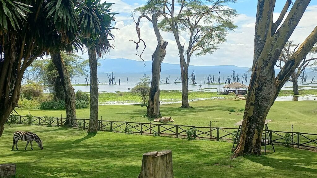 naivasha kenya picturesque africa