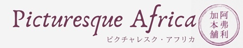 picturesque africa logo